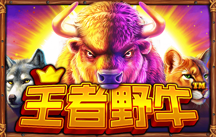 博鱼手机网页版登录入口